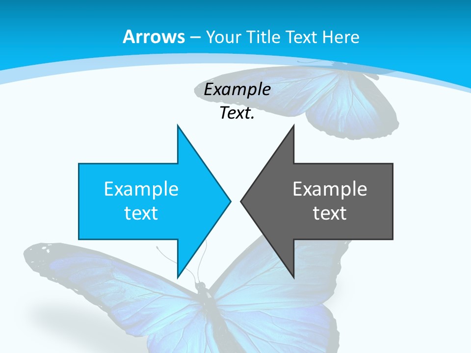 Two White Summer PowerPoint Template