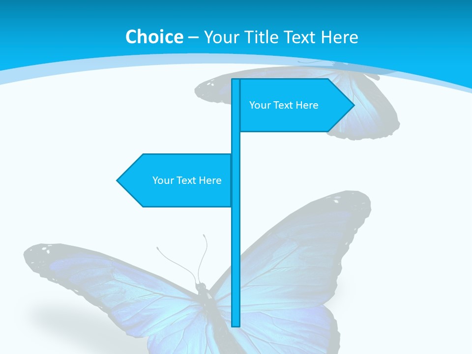 Two White Summer PowerPoint Template