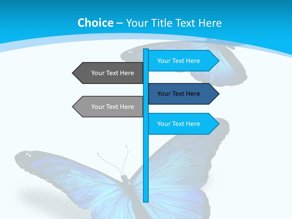 Two White Summer PowerPoint Template