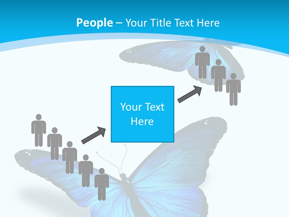 Two White Summer PowerPoint Template