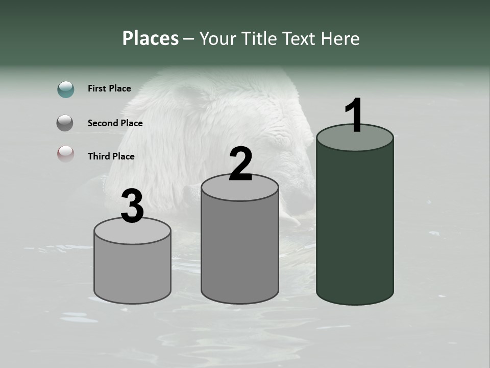 Nature Swim Dangerous PowerPoint Template