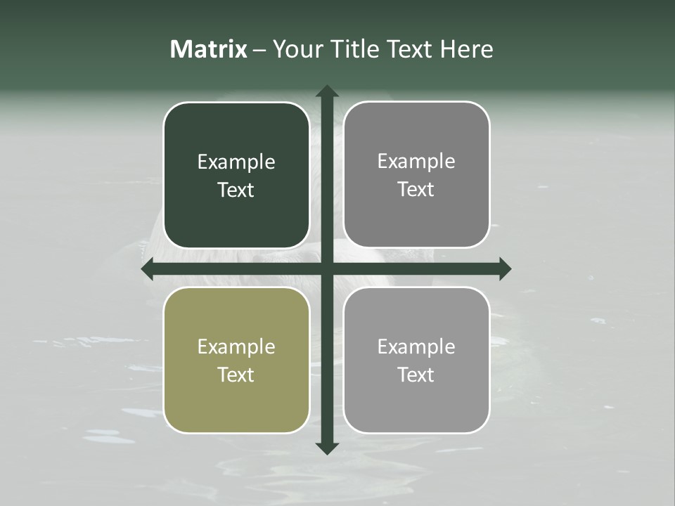 Nature Swim Dangerous PowerPoint Template