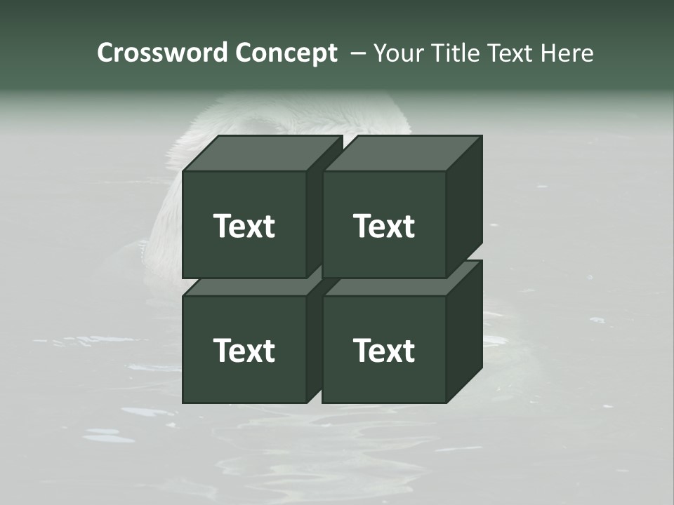 Nature Swim Dangerous PowerPoint Template
