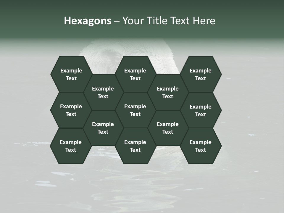 Nature Swim Dangerous PowerPoint Template