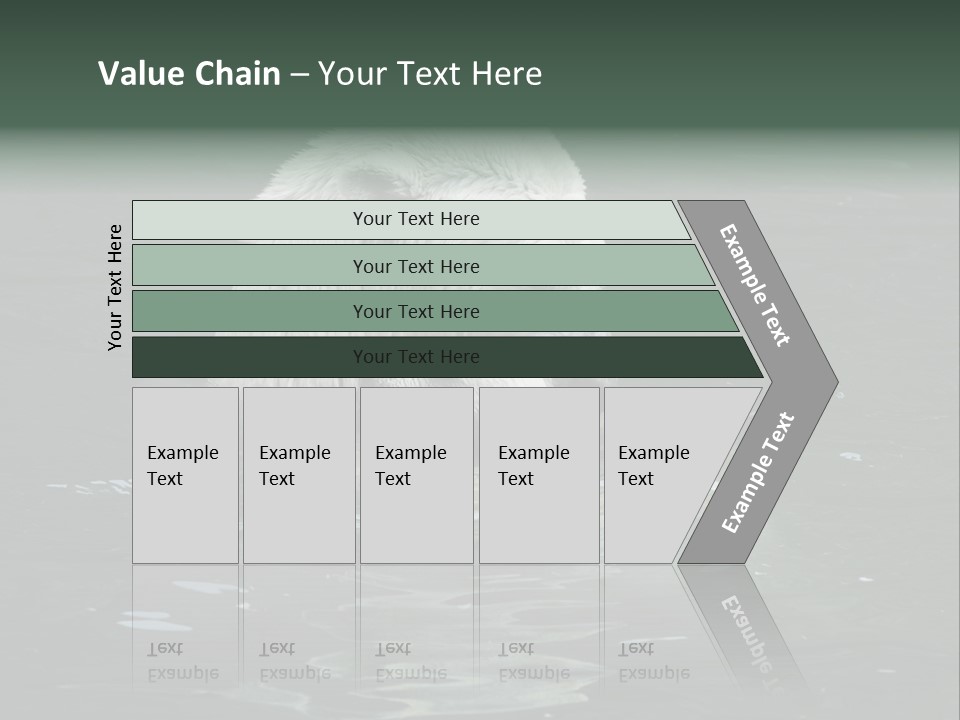 Nature Swim Dangerous PowerPoint Template