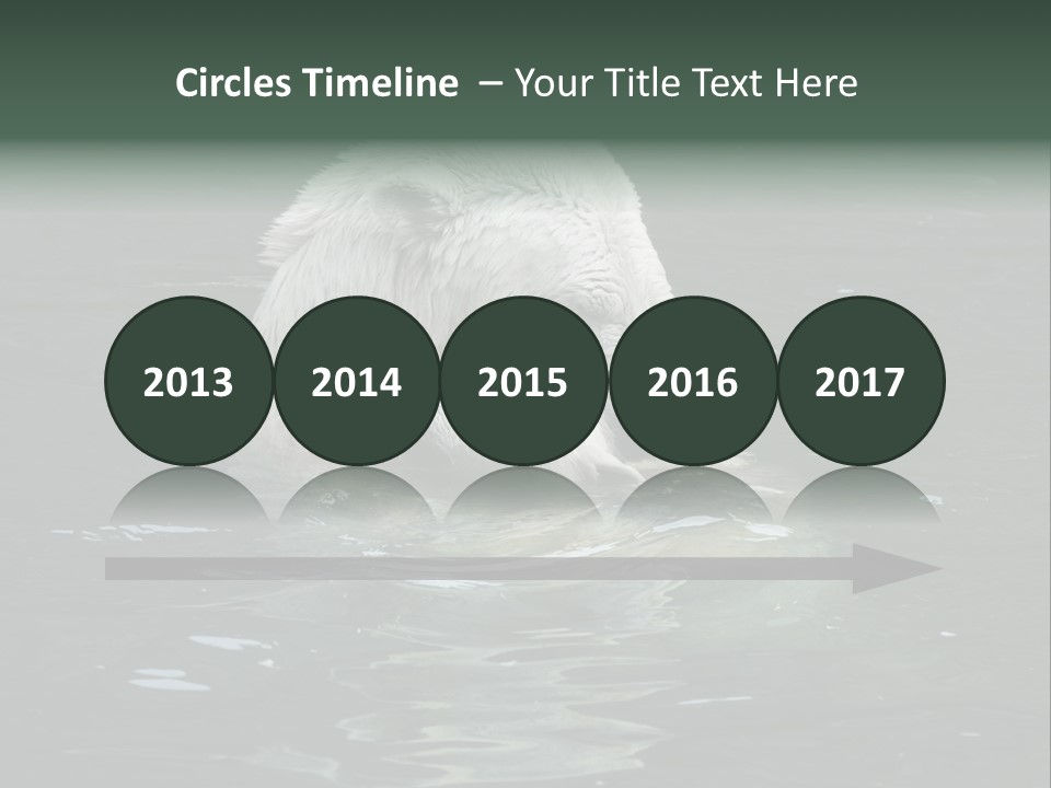 Nature Swim Dangerous PowerPoint Template