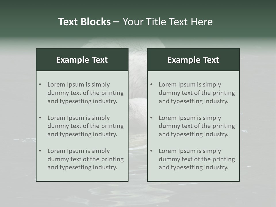 Nature Swim Dangerous PowerPoint Template
