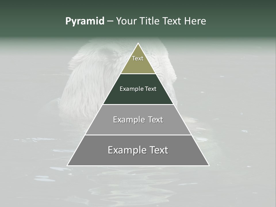 Nature Swim Dangerous PowerPoint Template