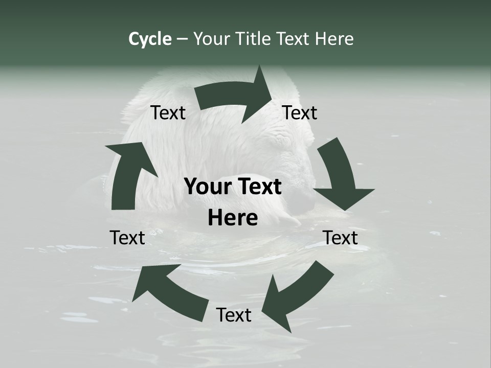 Nature Swim Dangerous PowerPoint Template