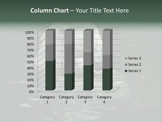 Nature Swim Dangerous PowerPoint Template