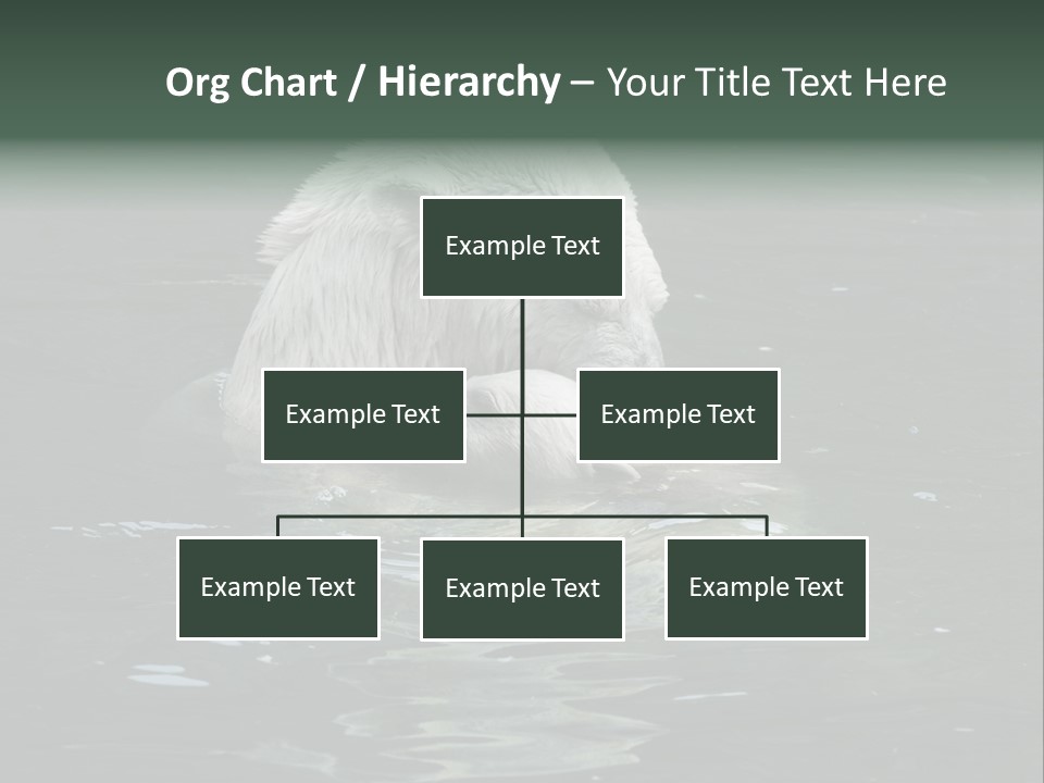 Nature Swim Dangerous PowerPoint Template