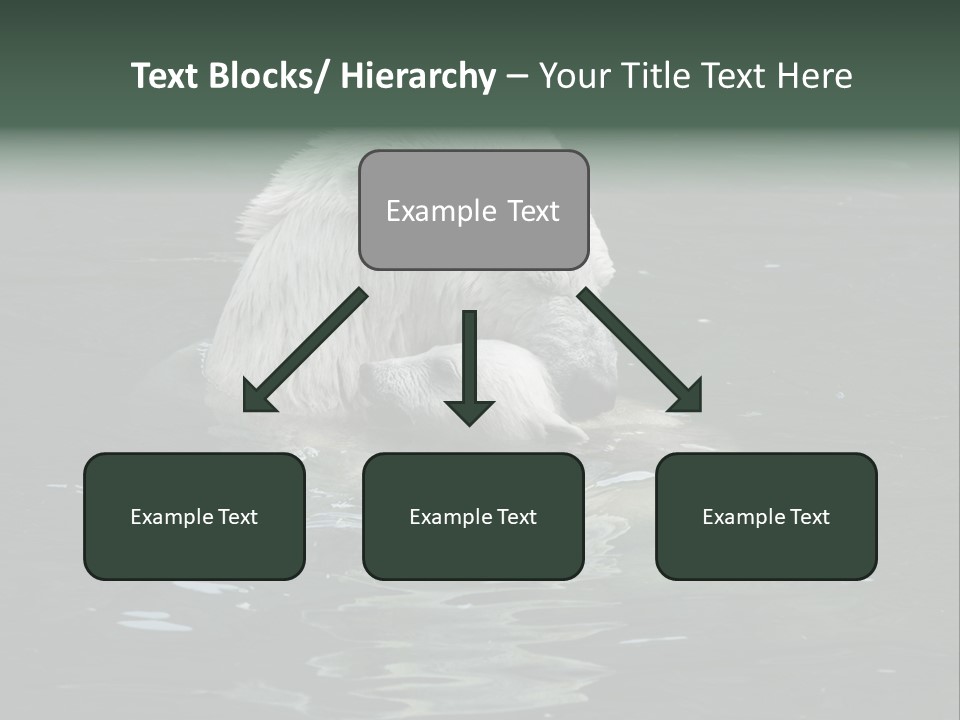 Nature Swim Dangerous PowerPoint Template