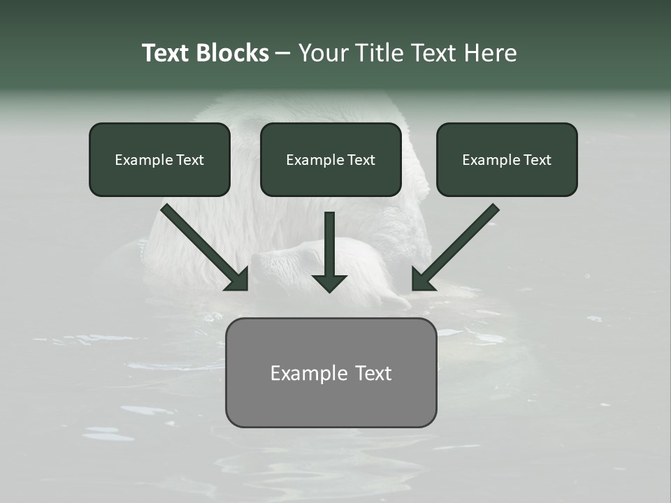 Nature Swim Dangerous PowerPoint Template