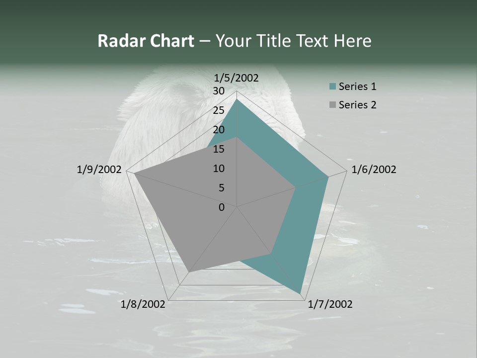 Nature Swim Dangerous PowerPoint Template