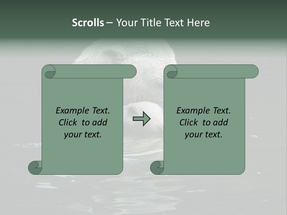 Nature Swim Dangerous PowerPoint Template