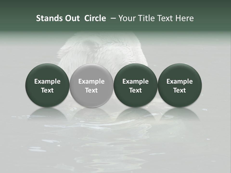 Nature Swim Dangerous PowerPoint Template