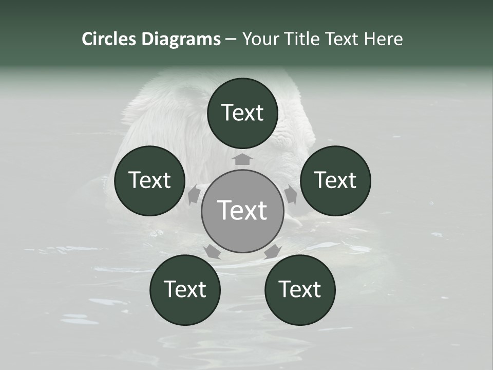 Nature Swim Dangerous PowerPoint Template