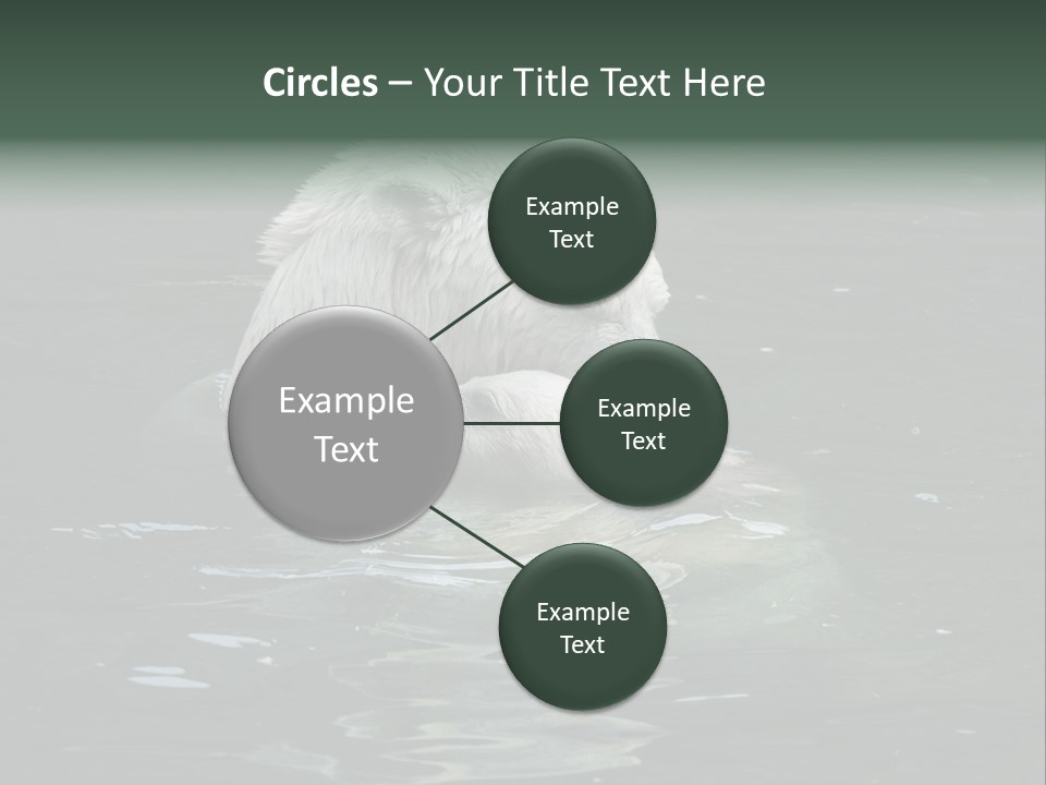 Nature Swim Dangerous PowerPoint Template