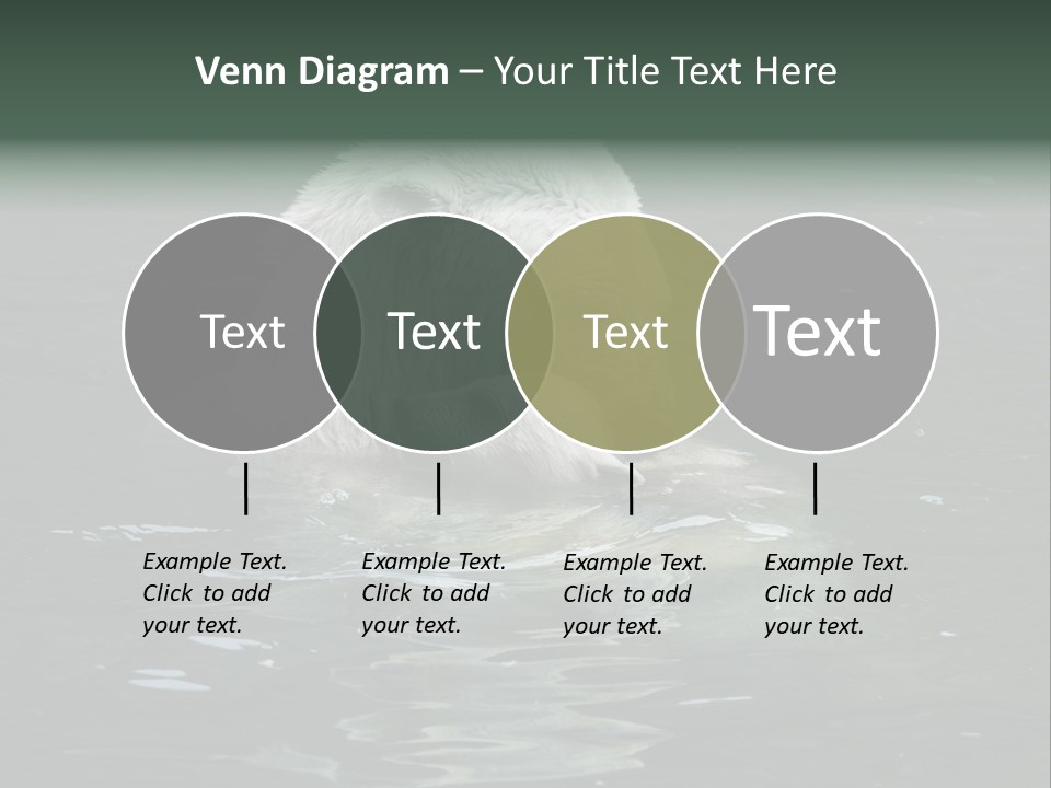 Nature Swim Dangerous PowerPoint Template