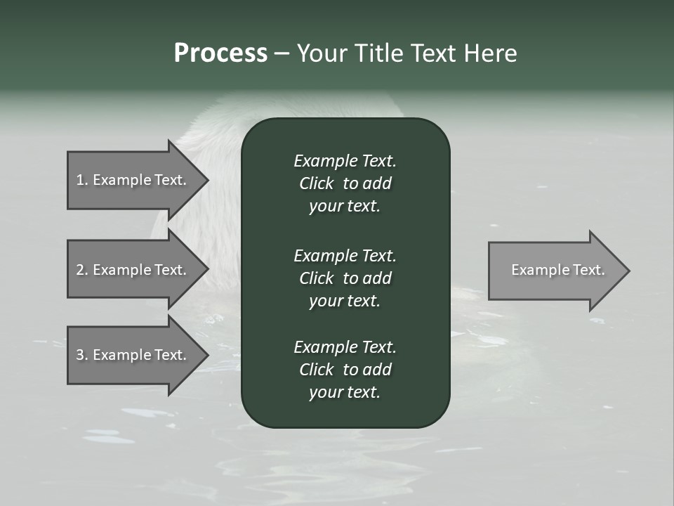 Nature Swim Dangerous PowerPoint Template