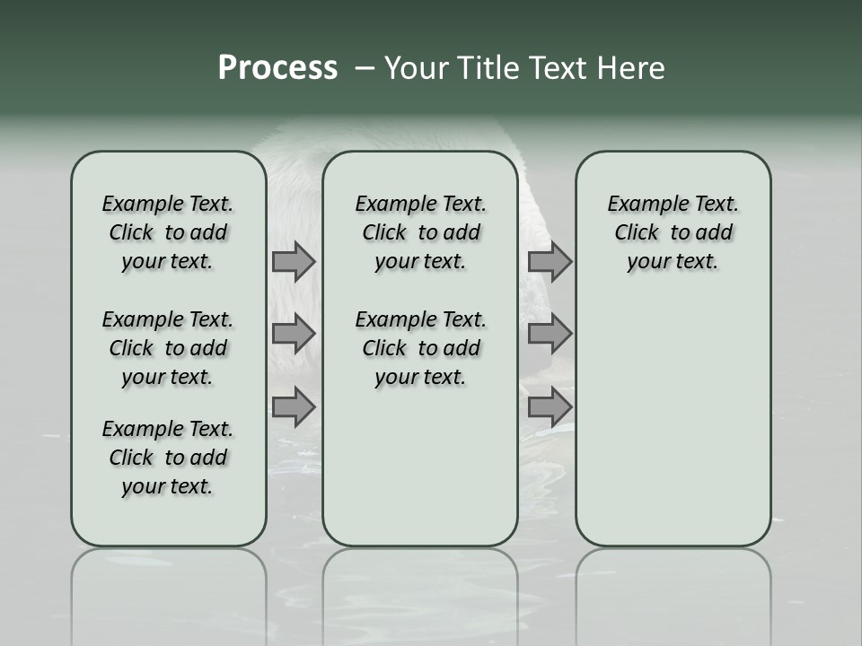 Nature Swim Dangerous PowerPoint Template