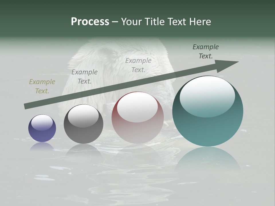 Nature Swim Dangerous PowerPoint Template