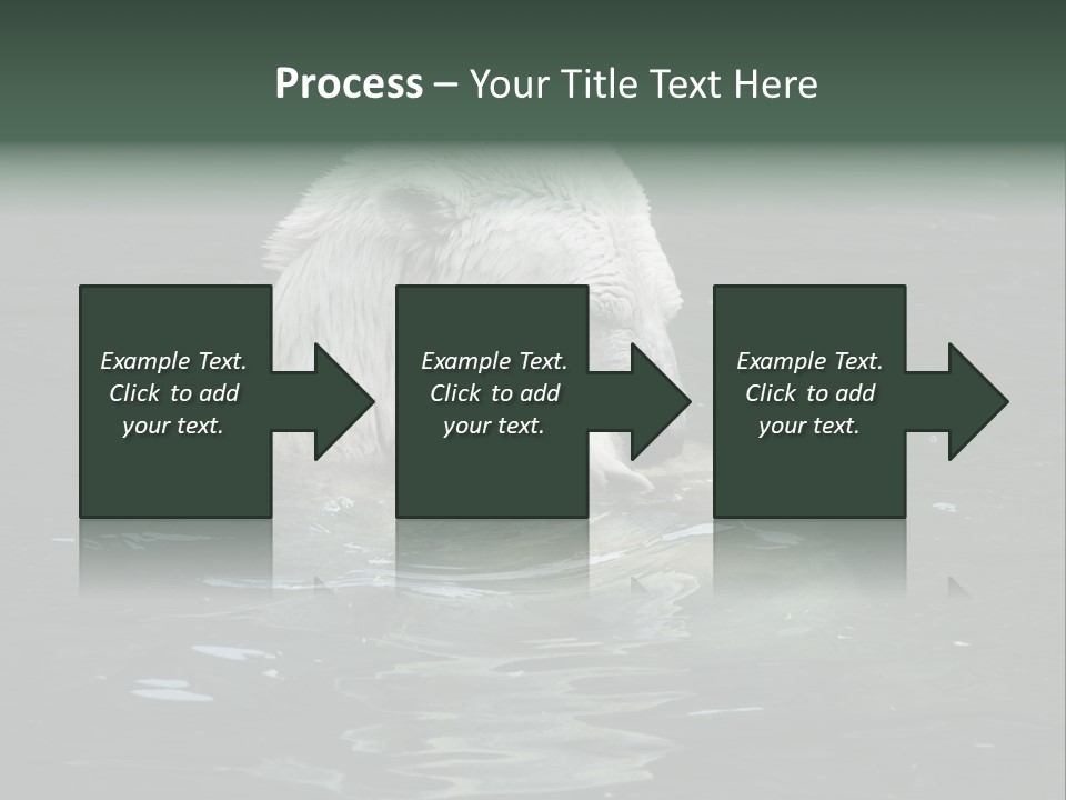 Nature Swim Dangerous PowerPoint Template
