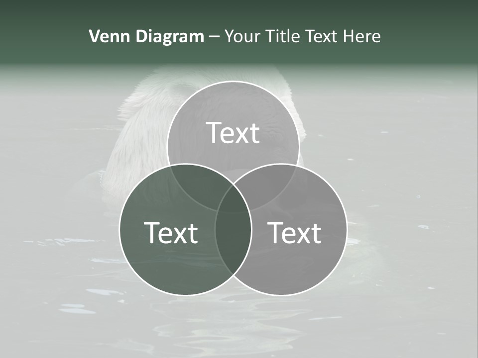 Nature Swim Dangerous PowerPoint Template