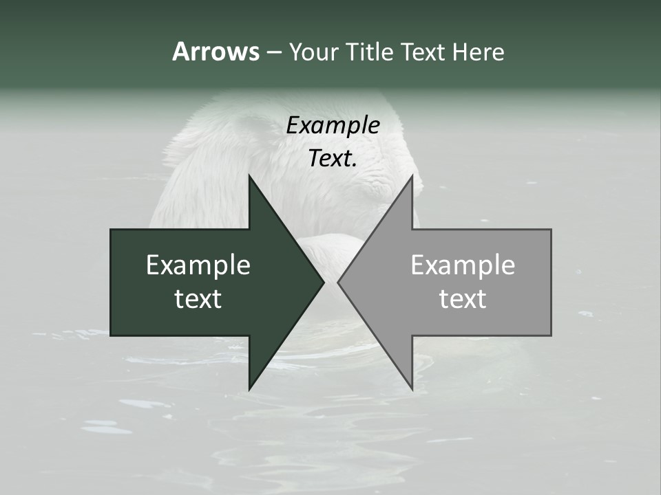 Nature Swim Dangerous PowerPoint Template