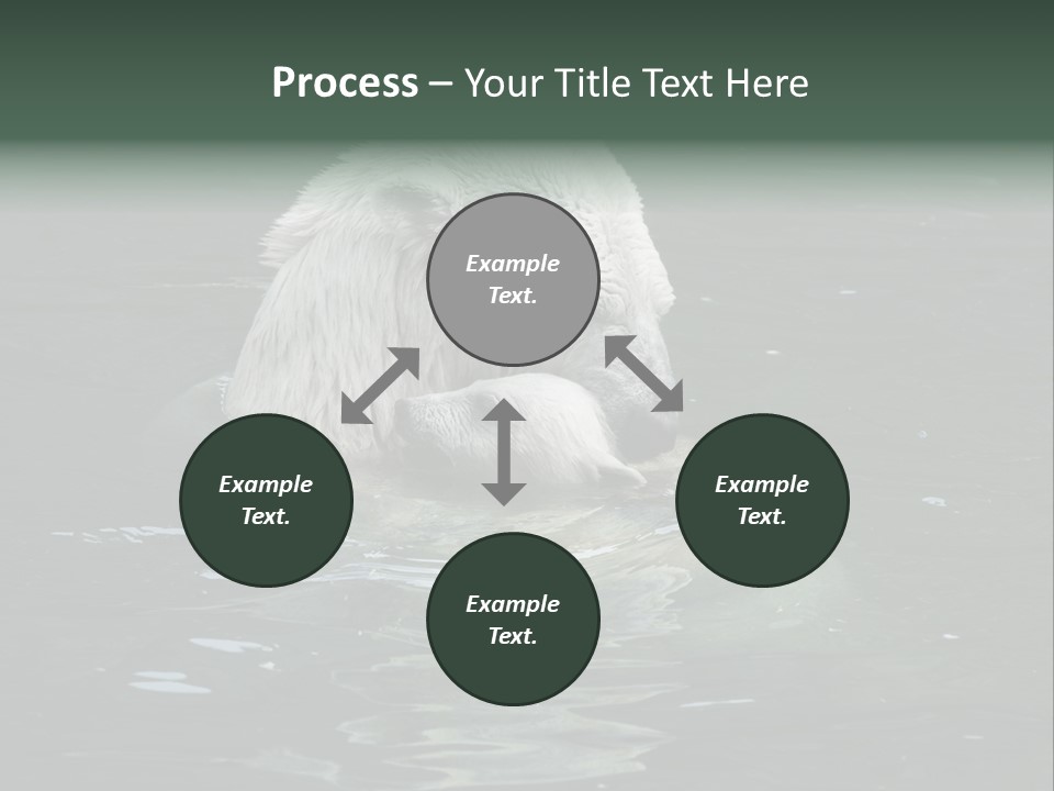 Nature Swim Dangerous PowerPoint Template