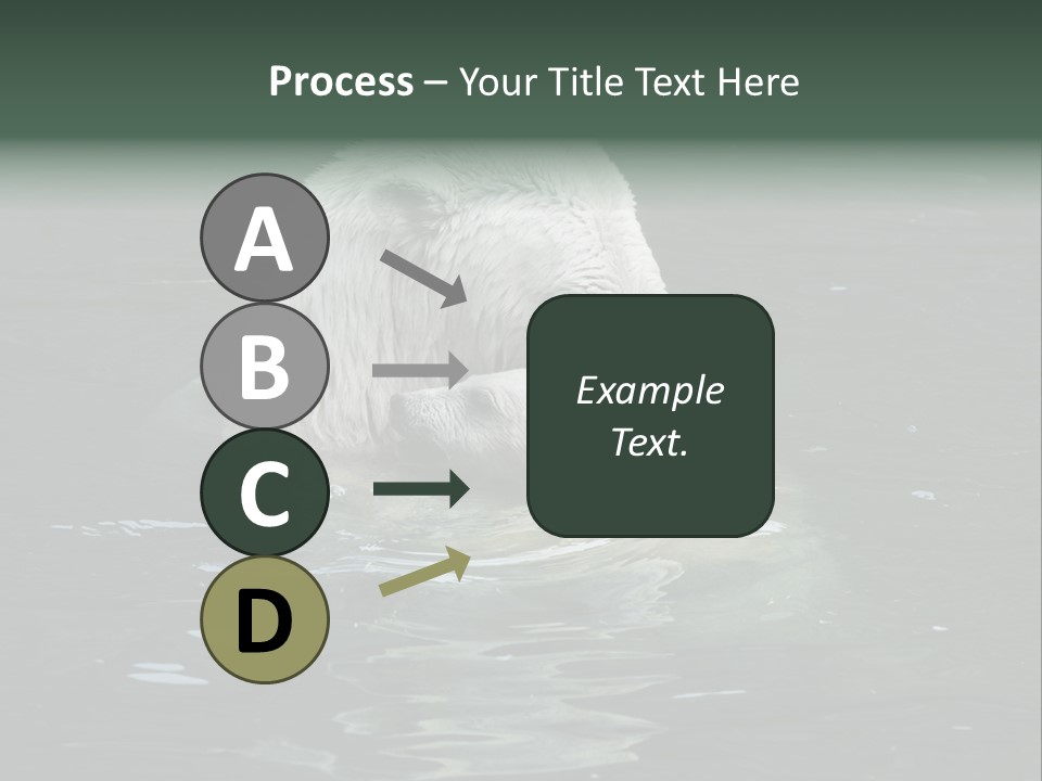 Nature Swim Dangerous PowerPoint Template