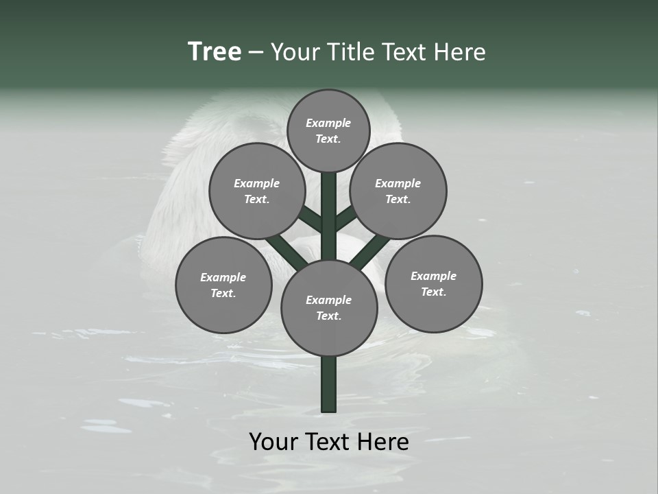 Nature Swim Dangerous PowerPoint Template