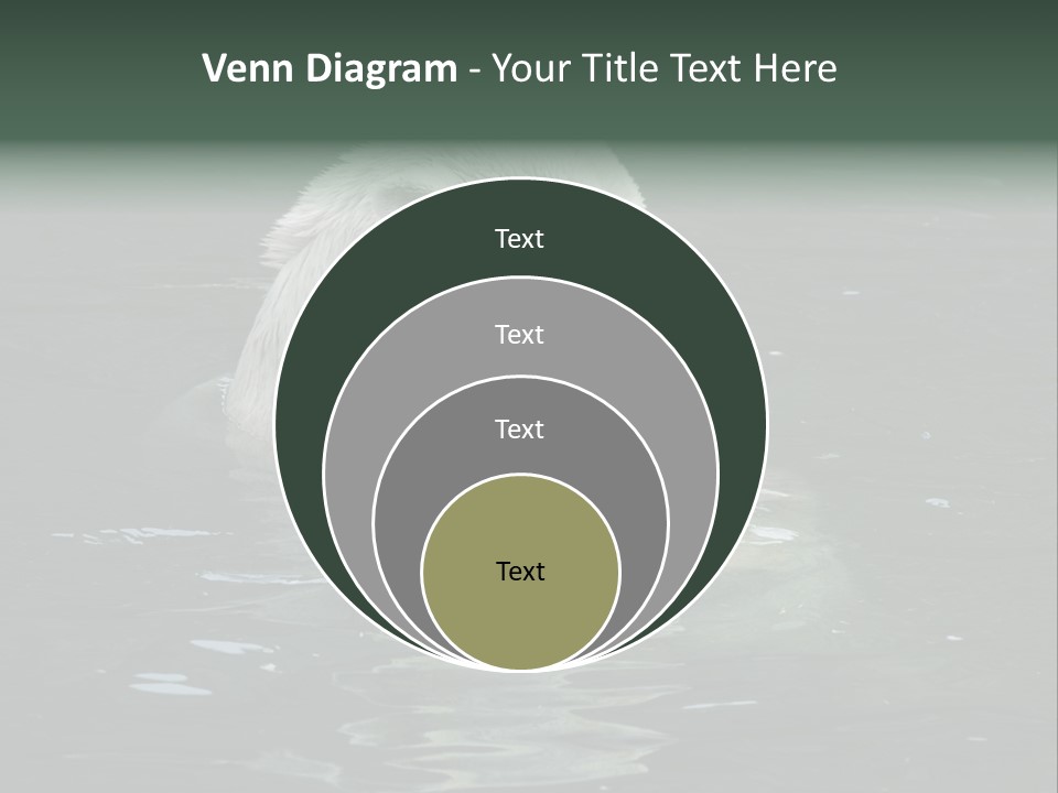 Nature Swim Dangerous PowerPoint Template