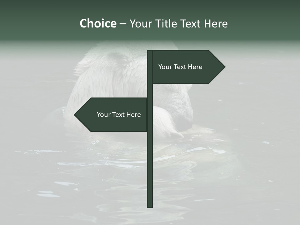 Nature Swim Dangerous PowerPoint Template