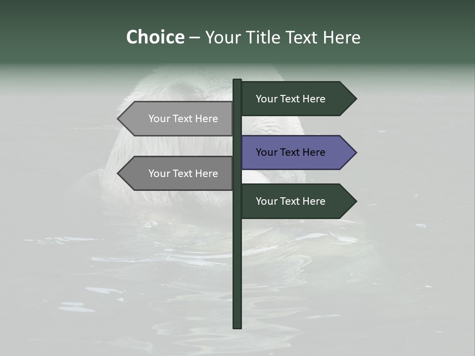 Nature Swim Dangerous PowerPoint Template