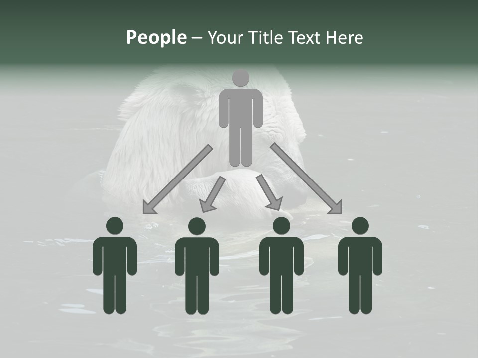 Nature Swim Dangerous PowerPoint Template