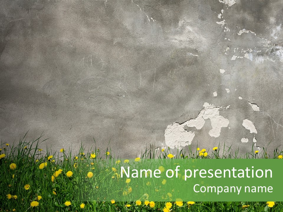 Grass Culture Textured PowerPoint Template