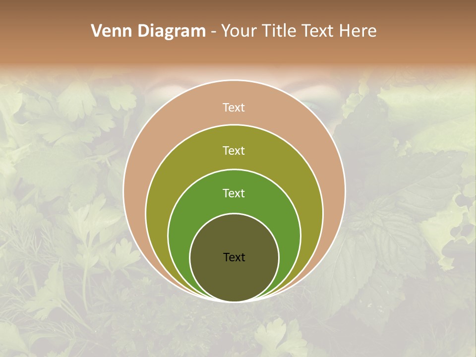 Overweight Podgy Fat PowerPoint Template