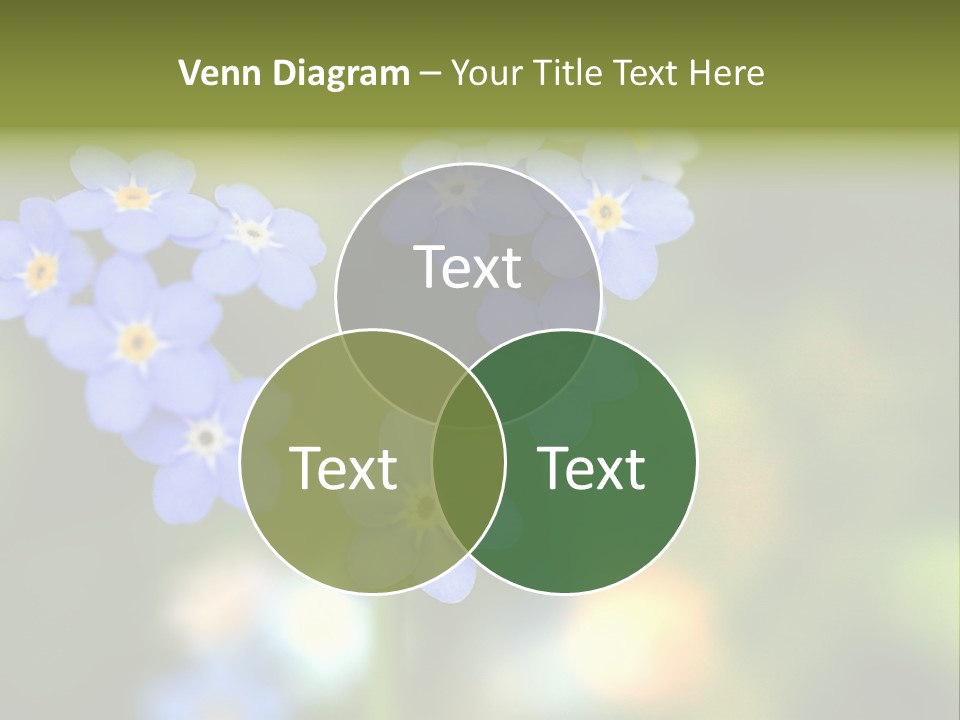 Boy Sleeping Pudgy PowerPoint Template