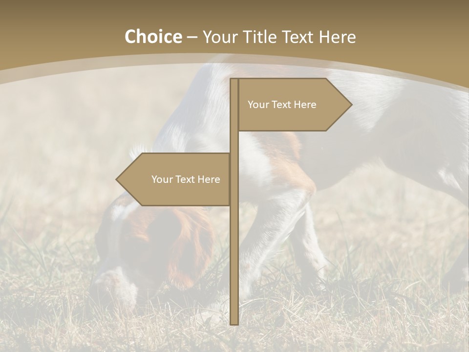 Clip Art Male Drooling PowerPoint Template