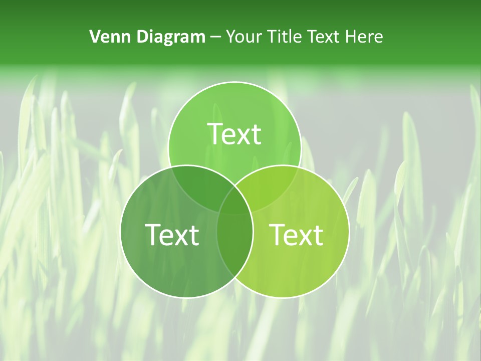 Male Stocky Snoring PowerPoint Template