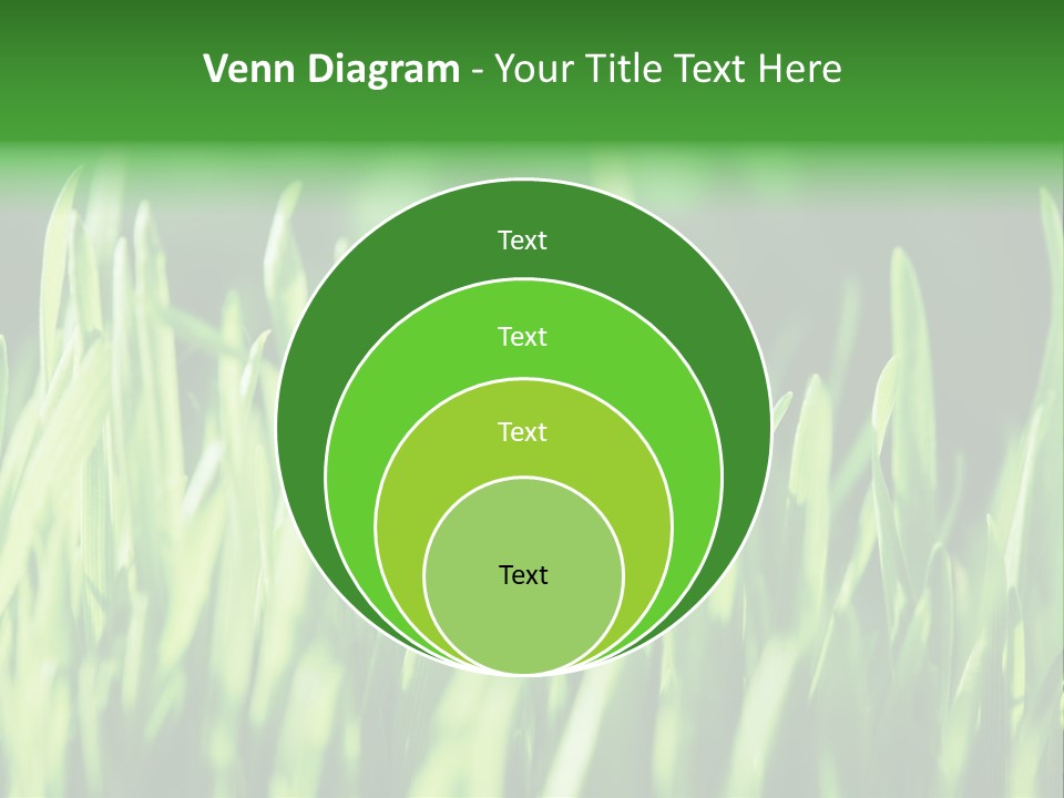 Male Stocky Snoring PowerPoint Template