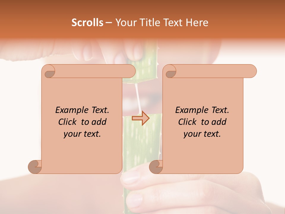 White Skin Balance PowerPoint Template