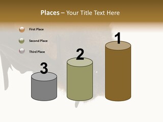 Wild Bat Black PowerPoint Template