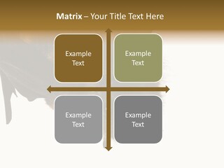 Wild Bat Black PowerPoint Template