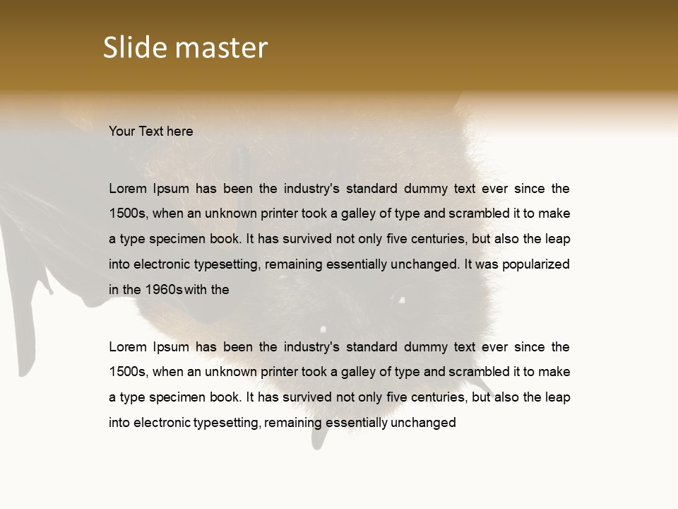 Wild Bat Black PowerPoint Template