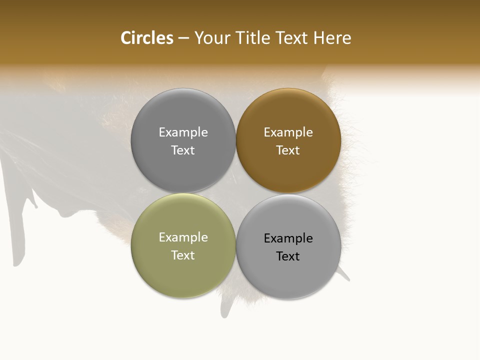 Wild Bat Black PowerPoint Template