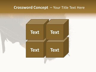 Wild Bat Black PowerPoint Template