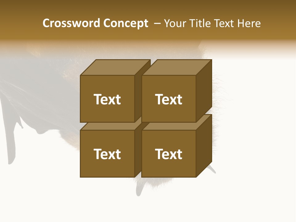 Wild Bat Black PowerPoint Template