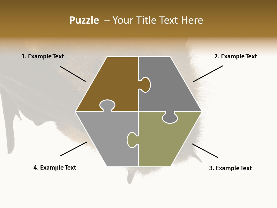 Wild Bat Black PowerPoint Template